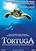 Produktbild Turtle: The Incredible Journey Plakat Movie Poster (11 x 17 Inches - 28cm x 44cm) (2009) Swiss B