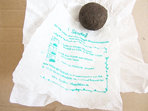 Seedball Gastgeschenk mit Herz, apfel - 4