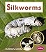 Produktbild Silkworms (Pebble Books/Watch It Grow)