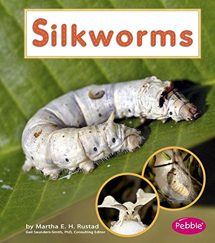 Preisvergleich Produktbild Silkworms (Pebble Books / Watch It Grow)