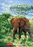 Tiere der Wildnis Wochenplaner 2015: Wochenplaner, 53 Blatt mit Wochenchronik by 