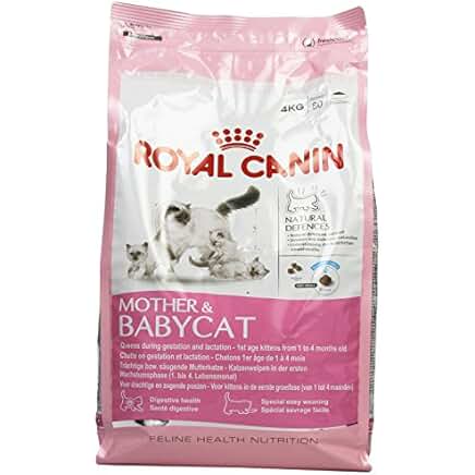 Amazon.co.uk: kitten formula milk