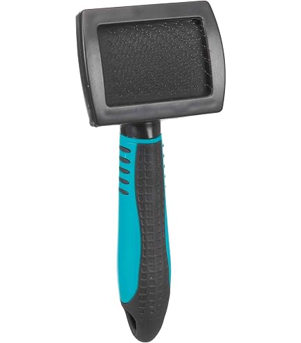 Brosse à Main Rigide Bassine Silverline 794337 - 300mm (12") - Poils Naturels 75mm - Fabriqué Au Royaume-Uni