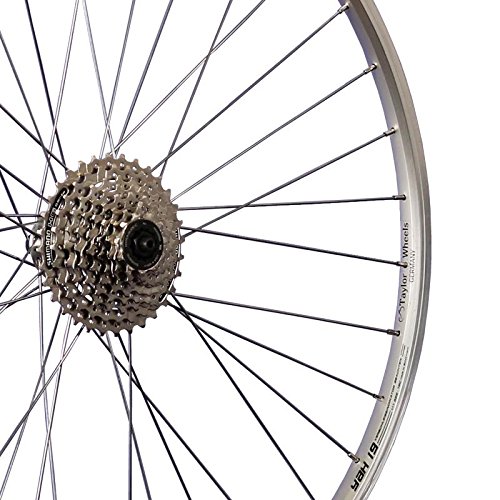 Taylor Wheels 28 Zoll Hinterrad YAK19 mit 8 fach Kassette – silber - 2