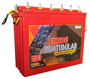 Exide's It 500 150 Ah Tall Tubular Battery, Red