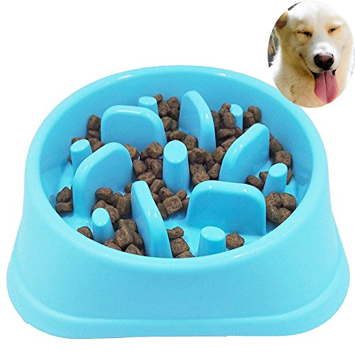 Écuelle pour chien interactive et ludique avec dispense alimentaire lente Sankill