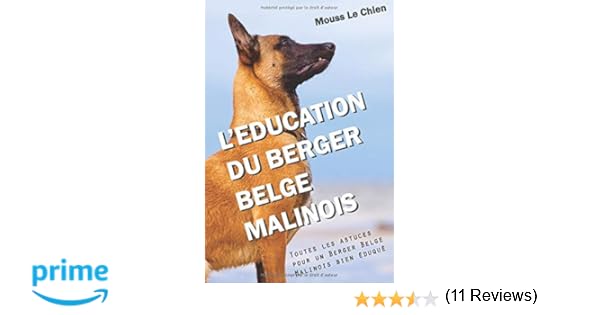 Amazonfr Leducation Du Berger Belge Malinois Toutes Les
