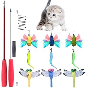 OneBarleycorn – Juguete de Plumas de Gato, Varita de Juguete para Gatos, 10 Piezas retráctiles, Interactivo, Juego de Peluca, Incluye 2 Varillas y 8 Plumas de Recambio