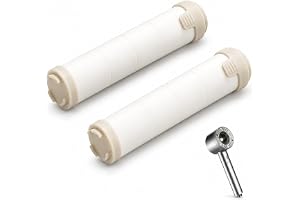 DanEL refillfilter för duschhuvud med filter – mått per filter 9,5 × 2,5 cm - 2-pack PP-ersättningsfilter för duschmunstycke