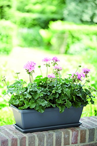 elho Barcelona Balkonkasten Geländertopf 50cm – Anthrazit - 6