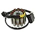 Magideal Magneto Stator Coil For Yamaha YZF-R1 2004-2008 2005 2006 2007 RS.2510.00