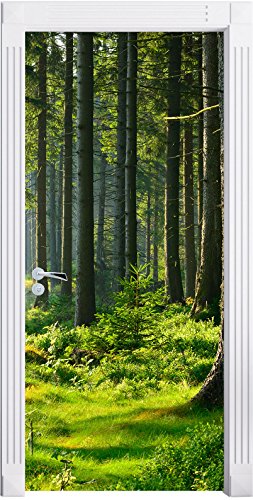 sonniger Tag im Wald als Türtapete, Format: 200x90cm, Türbild, Türaufkleber, Tür Deko, Türsticker