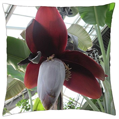 Giant Banana Flowers Throw Pillow Cover Case 18 X 18 Buy