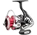 Daiwa Ninja 4000A Frein Avant Spinning / Gros Moulinet Game gros Match...