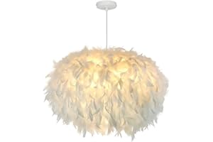 DUNMW 55 cm / 21.8 "Elipsoide Pluma blanca Lámpara colgante Lámpara de techo Lámpara de techo Lámpara de plumas para sala de estar, dormitorio, comedor