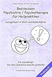 Basiswissen Psychiatrie / Psychotherapie für Heilpraktiker kurzgefasst in Wort und Kullerköpfen: Ein Lernskript für den Überblick und als Lernhilfe by Andreas Seebeck, Febe Homrighausen
