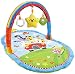 Tummy Time Newborn Baby Playmat Arch Gym & Sensory Toys
