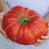 Tipo de producto: semillas AGROBITS calientes de la venta 100pcs enorme grande de la herencia de tomate dulce Bonsai jardinería Plantas plantas bonsai vegetal para jardín: Negro