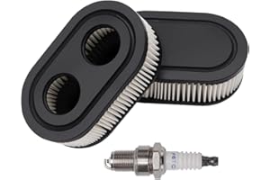 VooGenzek 3 Pièces Filtre à Air Tondeuse à Gazon avec 1 Bougies d'allumage, Compatibles avec Briggs & Stratton 798452 593260 Moteur