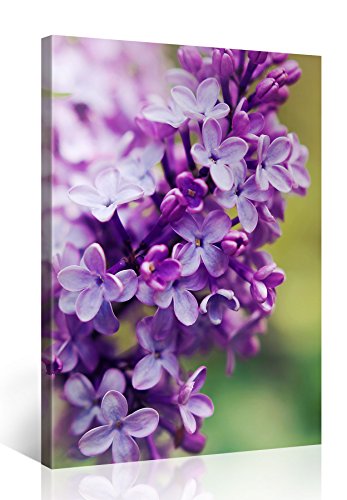 Gallery of Innovative Art - Purple Hyacinth - 75x100cm - Larga Stampa su Tela per Decorazione murale - Immagine su Tela su Telaio in Legno - Stampa su Tela Giclée - Arazzo Decorazione murale