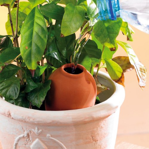 Royal Gardineer Terracotta Wasserspender „Classico“ für Topfpflanzen im 3er-Set - 3