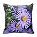 Produktbild Wensing Hardy blau Aster Blumen Überwurf Kissen Fall 45,7 x 45,7 cm