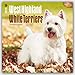 West Highland White Terriers 2016 - Westies - 18-Monatskalender mit freier DogDays-App: Original BrownTrout-Kalender [Mehrsprachig] [Kalender] (Wall-Kalender) by 