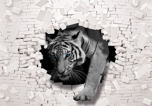 Olimpia Design Fototapete 3D Tiger kommt aus der Wand , 1 Stück, , 10400P4