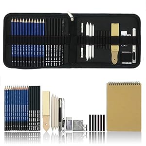 Lapices De Dibujo Artistico Profesional, 36 Piezas Set artístico de bocetos con grafito, Juego de lápiz de madera y afilador Con un libre Bloc de dibujo a5