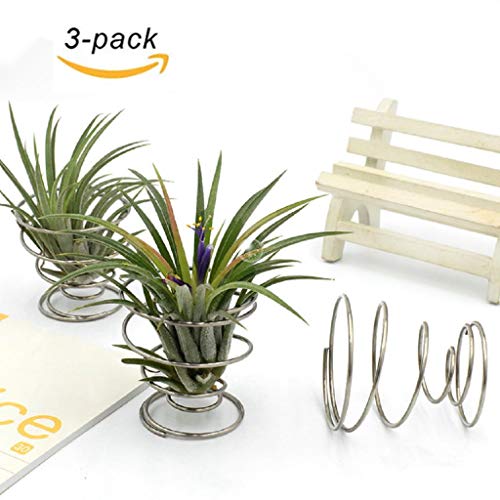 Trucos para su jardin y macetas tips for your garden and flower pots