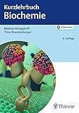 Image de Kurzlehrbuch Biochemie