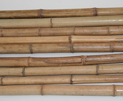 Bambusrohr Moso 200cm gelbbraun Durch. 2 bis 4cm, hitzebehandelt – Bambus Rohr Bambus Latten farbige Bambusrohre Bamboo Bambus Halbschale Bambusstangen –> großes Sortiment an Bambusrohre und Rohre aus Bambus Bambus-Rohre - 2
