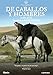 De Caballos Y Hombres [DVD]