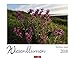 Produktbild Wiesenblumen - Kalender 2018