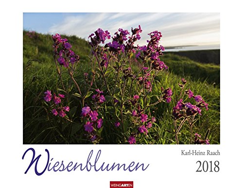 Preisvergleich Produktbild Wiesenblumen - Kalender 2018