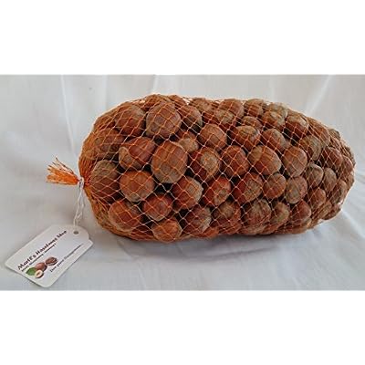 Haselnüsse Premium XL - Aus Deutschland! - In der Schale - 1Kg