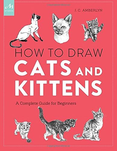 How to Draw Cats and Kittens: A Complete Guide for Beginners