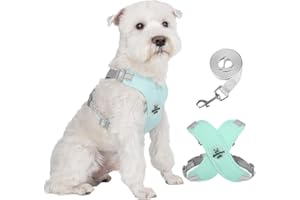 FEimaX Szelki dla psa bez ciągnięcia, zestaw dla małych średnich psów, regulowana kamizelka dla zwierząt domowych, odblaskowa, oddychająca, miękka siatka, wyściełane szelki dla szczeniaka, do treningu