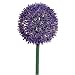 Produktbild Allium lavendel 68cm
