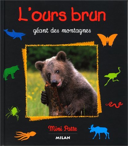 L'ours brun : géant des montagnes