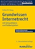 Grundwissen Internetrecht: mit Schaubildern und Fallbeispielen by Volker M. Haug