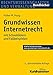 Grundwissen Internetrecht: mit Schaubildern und Fallbeispielen by Volker M. Haug
