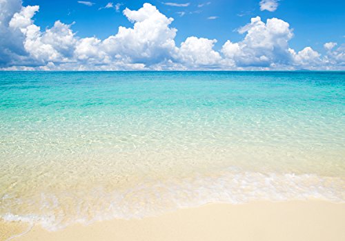 Vliestapete Sonne, Meer und Strand VT479 Größe:400x280cm, Fototapete, Vlies Tapete, High Quality, PREMIUM Bildtapete, Ufer Küste Ozean - 2