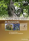Image de HolzWerken Die Baumporträts: 55 Werkstatthölzer - vom Apfelbaum bis Zirbelkiefer