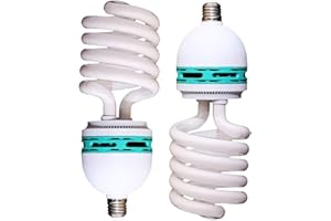 LANMOU XMYX 2 Pack Lampadina a Risparmio Energetico a Spirale Lampadina a Fluorescenza E27 Molto Brillante Lampadina a Vite 6500K Bianco Freddo Lampadina Luce Diurna,200W