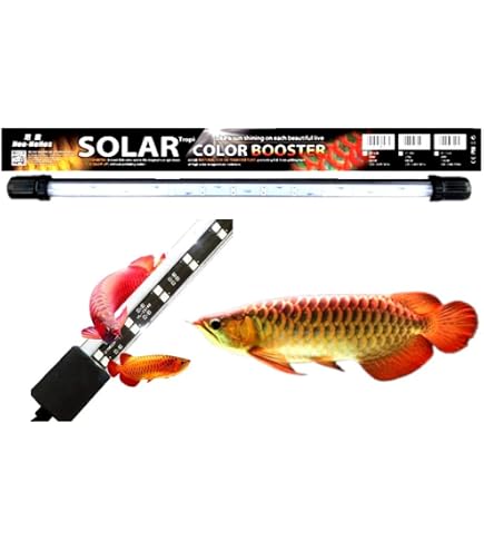 ピ*ト様 AROWANA TANNING LIGHT テンニング aqua nature Colour Enhancement Led With Uva & Uvb Spectrum Tanning