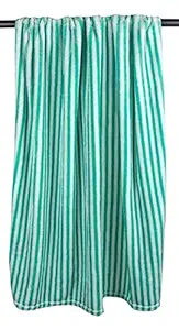 DII Bone Dry Warm, Soft, Plush, Microfiber Pet Blanket for Couch, Car, Trunk, Cage, Kennel, Dog House, 50x60, Green Stripes