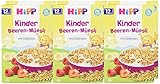Hipp Bio-Kinder Beeren-Müesli - 2