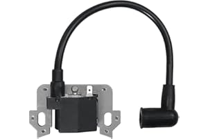 RANRAO Bobine d'allumage OEM compatible avec Hon-da GCV135 pour GCV160 GCV190 GSV160 GC135 GC160 GC190 GS