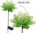 Produktbild Solar Leuchte - " Blume & Blüte - GRÜN " - Solarblume mit LED Licht - Garten Wetterfest für Außen - Figur & Gartendeko Solarleuchte Solarbetrieben - Laterne Gartenleuchte Außenbeleuchtung - Solarleuchten Dekofigur / photovoltaik - Lampe / Gartendeko - Seerose